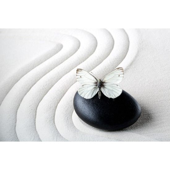 Samolepiaca fototapeta harmónia motýľa so zen kameňom