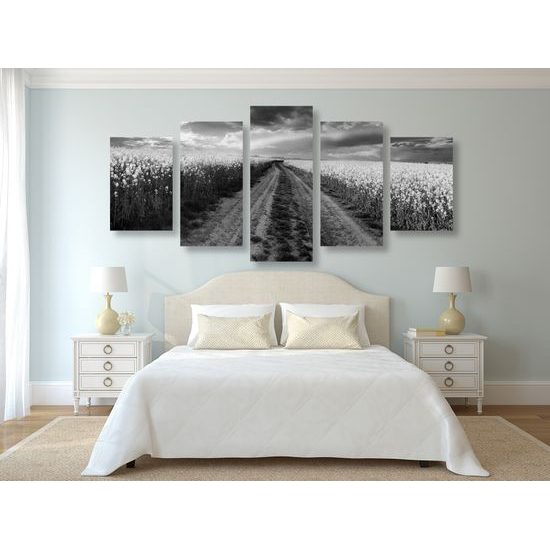 5-dielny obraz cesta v strede poľa v čiernobielom prevedení