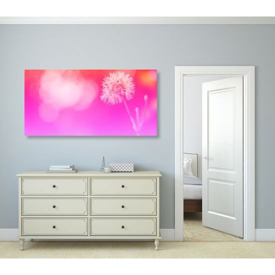 Obraz púpava v ružovo bielych farbách
