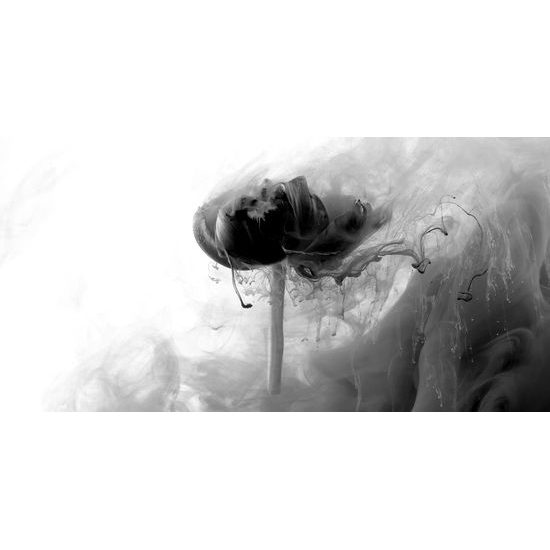 Obraz umelecké stvárnenie kvetu v čiernobielom prevedení