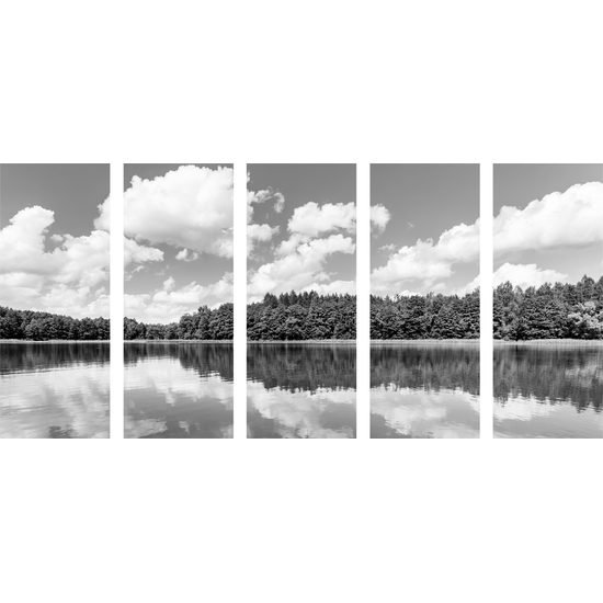 5-dielny obraz krásy prírody v čiernobielom prevedení