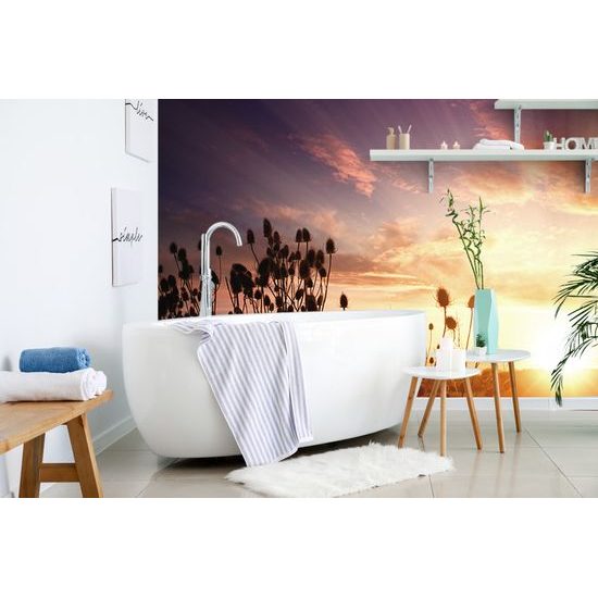 Fototapeta lúky pri zapadajúcom slnku