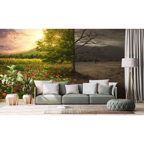 Samolepiaca tapeta dvojtvárnosť stromu