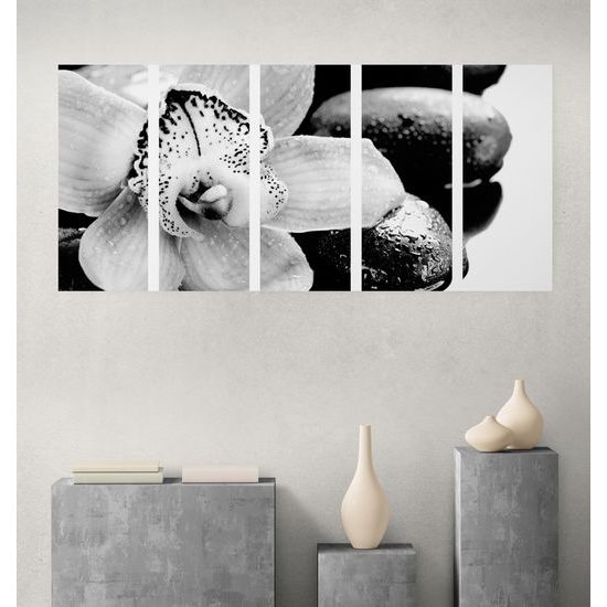 5-dielny obraz čiernobiely kvet orchidei
