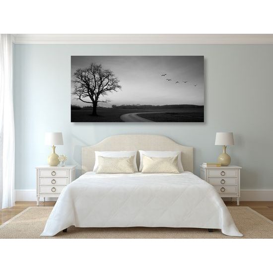 Obraz okúzľujúci západ slnka v čiernobielom prevedení