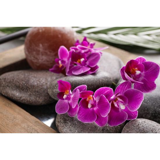 Fototapeta zen kamene s krásnymi kvetmi orchidey