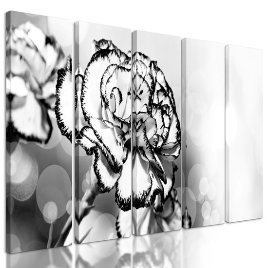5-dielny obraz nádherný karafiát v čiernobielom prevedení