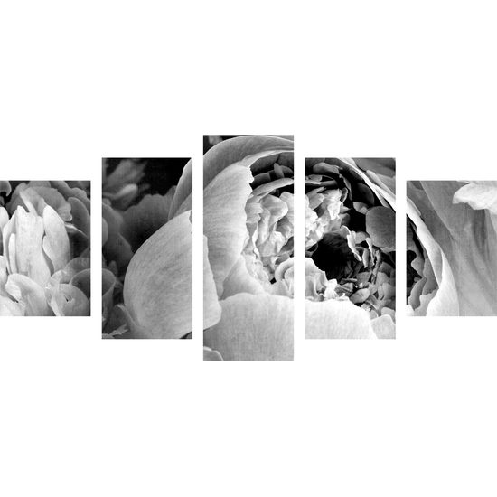 5-dielny obraz detail na kvety v čiernobielom prevedení