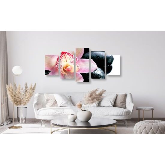 5-dielny obraz ružový kvet orchidei