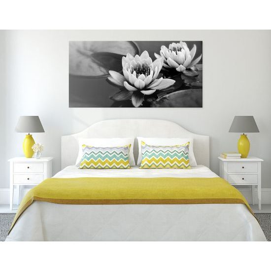 Obraz lekno v čiernobielom prevedení