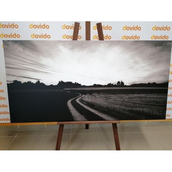 Obraz zapadajúce slnko nad krajinou v čiernobielom prevedení