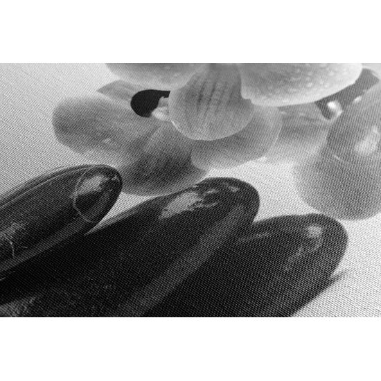 Obraz relaxačne SPA zátišie v čiernobielom prevedení