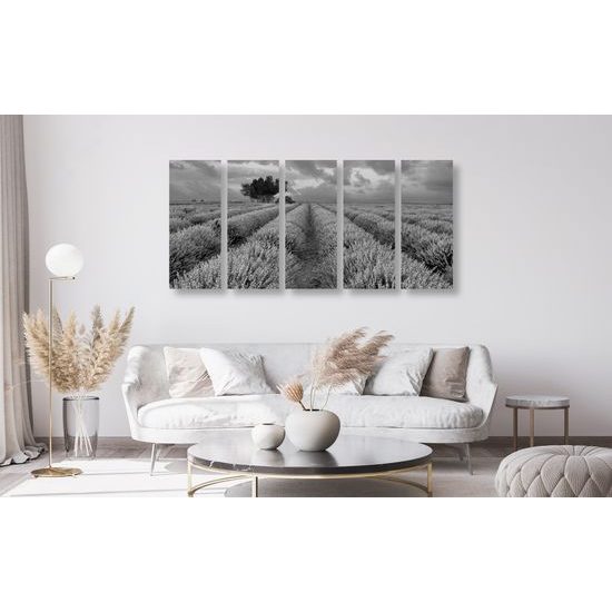 5-dielny obraz pole plné levandule v čiernobielom prevedení