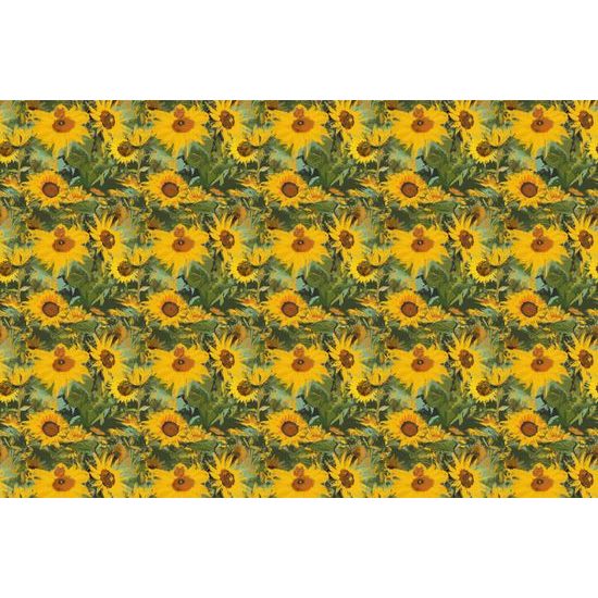 Samolepiaca tapeta očarujúce divoké slnečnice