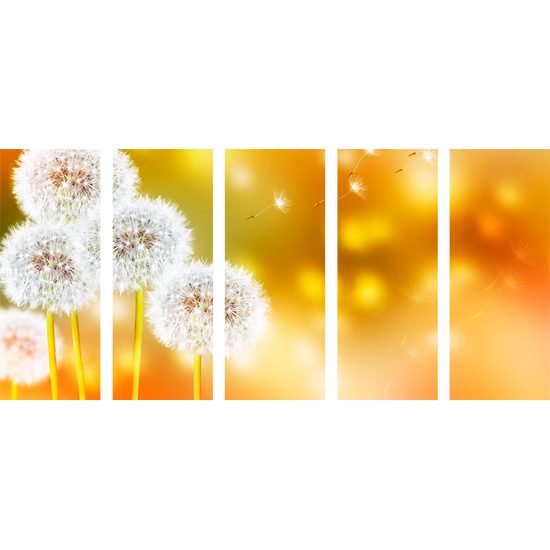 5-dielny obraz rozkvitnutá púpava