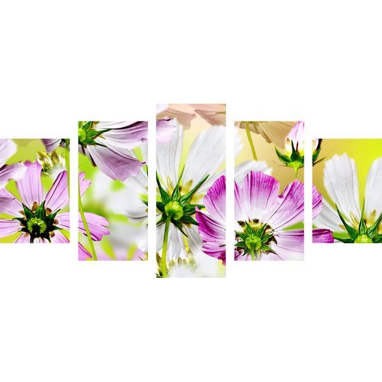 5-dielny obraz záhrada plná rozkvitnutých kvetov