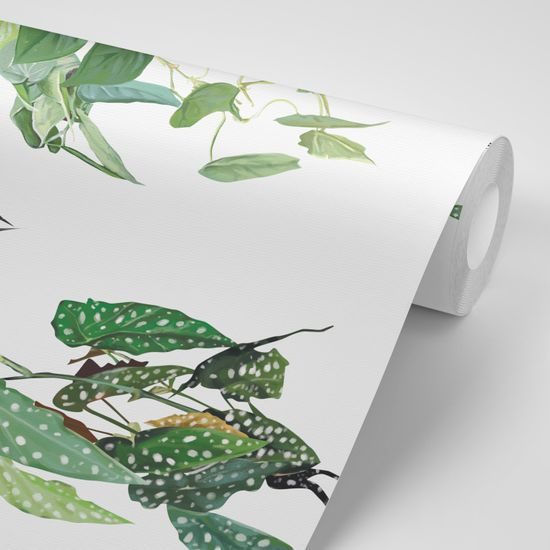 Samolepiaca tapeta pôvabné tropické rastliny