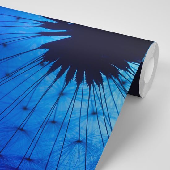 Samolepiaca tapeta rozprávková púpava