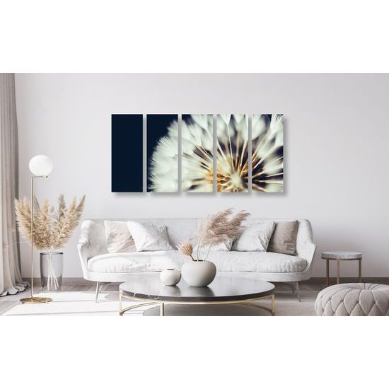 5-dielny obraz nádherný detail púpavy