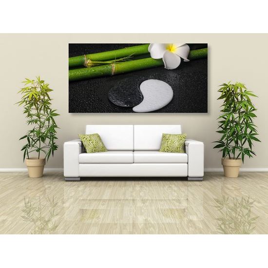 Obraz bambusové zátišie so symbolom Jin a Jang