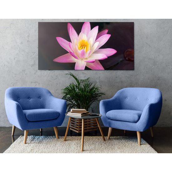 Obraz nádherný ružový lotosový kvet