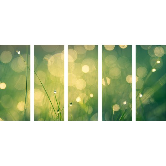 5-dielny obraz ranná lúka