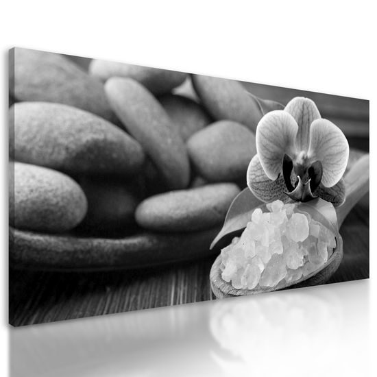 Obraz wellness zátišie s morskou soľou v čiernobielom prevedení