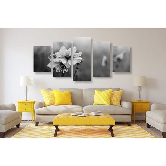 5-dielny obraz kvitnúce lúčne kvety v čiernobielom prevedení