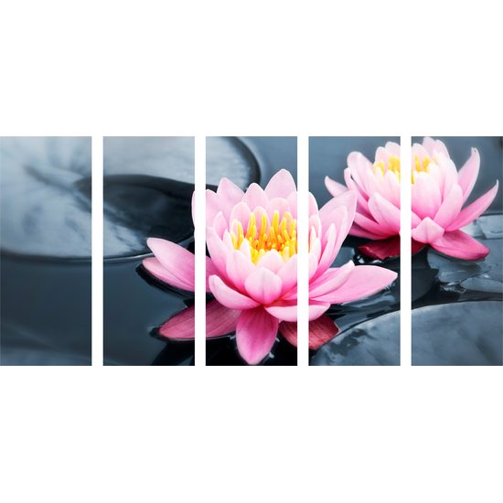 5-dielny obraz lekno v rieke