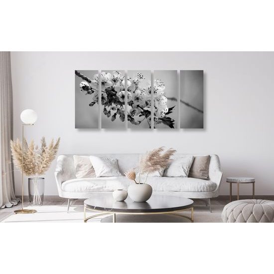 5-dielny obraz krásna čerešňa v rozkvete v čiernobielom prevedení