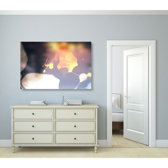 Obraz zaujímavý list lipy