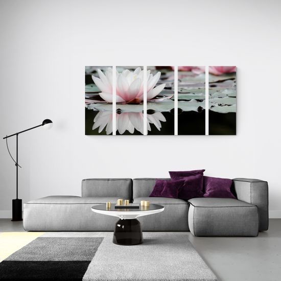 5-dielny obraz nádherné lekno