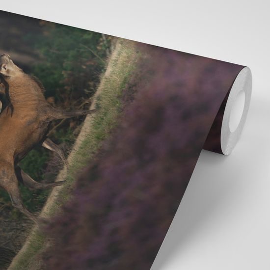 Samolepiaca fototapeta ručiaci jeleň