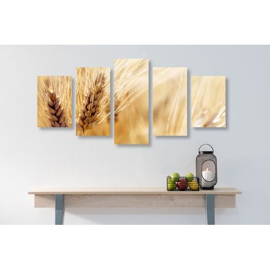 5-dielny obraz detail pšenice