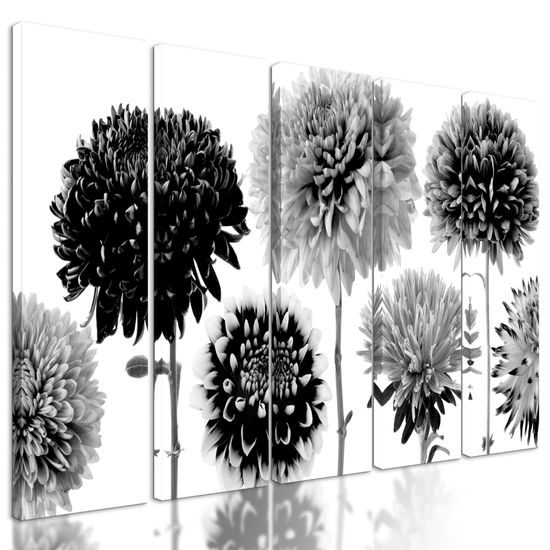 5-dielny obraz čiernobiele kvety dálie