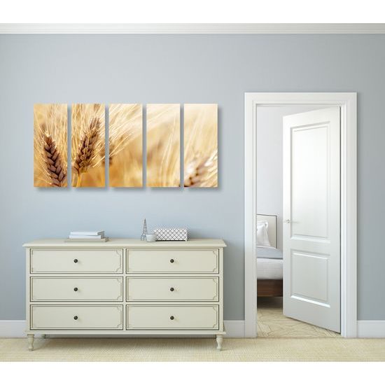 5-dielny obraz detail pšenice