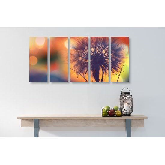 5-dielny obraz púpava pri západe slnka