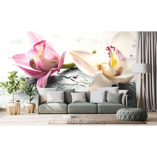 Fototapeta romantické kvety divokej orchidey