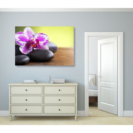 Obraz zaujímavo sfarbená orchidea a Zen kamene
