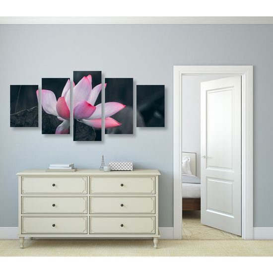 5-dielny obraz nádherny kvet