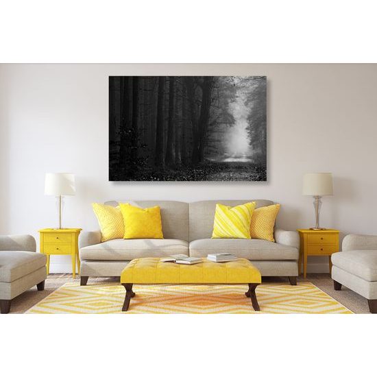 Obraz nádherný čarovný les v čiernobielom prevedení