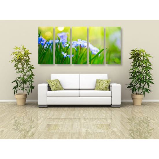 5-dielny obraz lúčne kvety na zelenej tráve