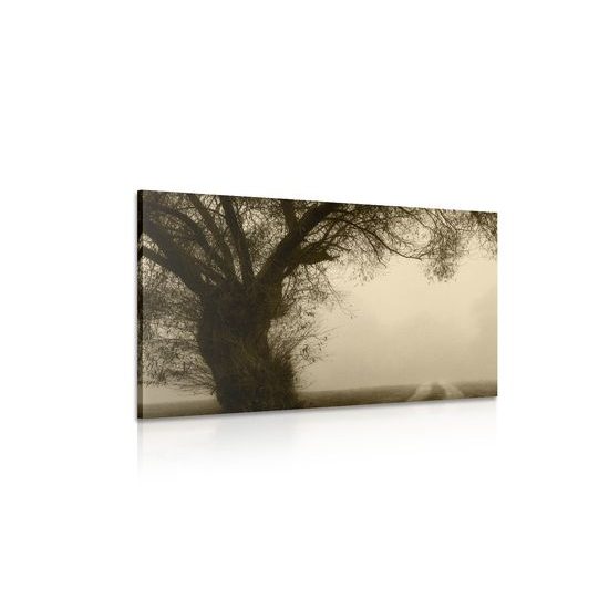 Obraz pole zahalené v rannej hmle v sépiovom prevedení