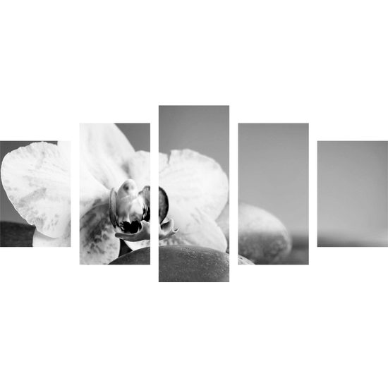 5-dielny obraz zaujímavo sfarbená orchidea a Zen kamene v čiernobielom prevedení