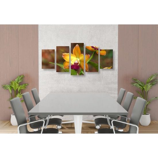 5-dielny obraz unikátna zlatá orchidea