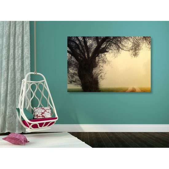 Obraz pole zahalené v rannej hmle