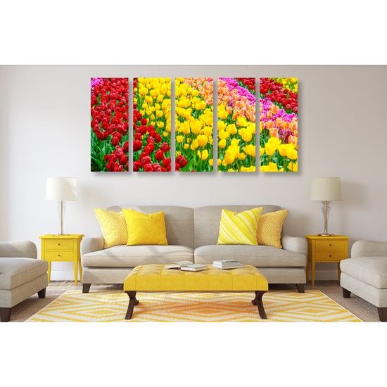 5-dielny obraz tulipánový sad