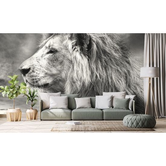 Samolepiaca fototapeta čiernobiela hlava leva