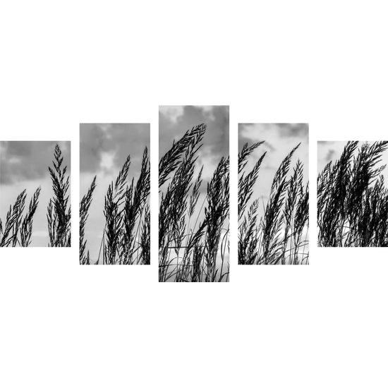 5-dielny obraz poľná tráva s nebeským pozadím v čiernobielom prevedení