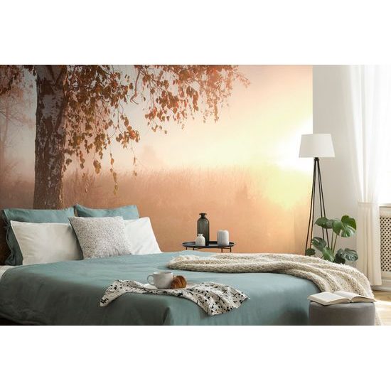 Fototapeta hmlisté ráno